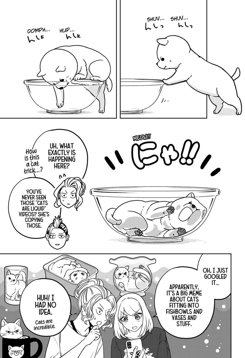 Shiba Inu Rooms Chapter 53 page 11 - 