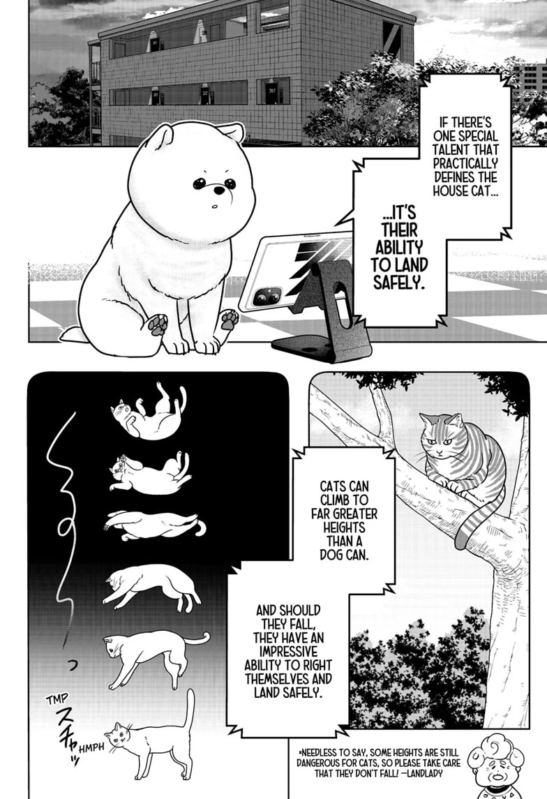 Shiba Inu Rooms Chapter 53 page 14 - 