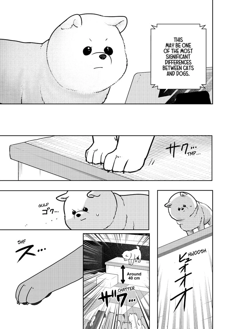 Shiba Inu Rooms Chapter 53 page 15 - 