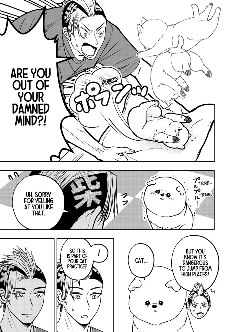Shiba Inu Rooms Chapter 53 page 17 - 