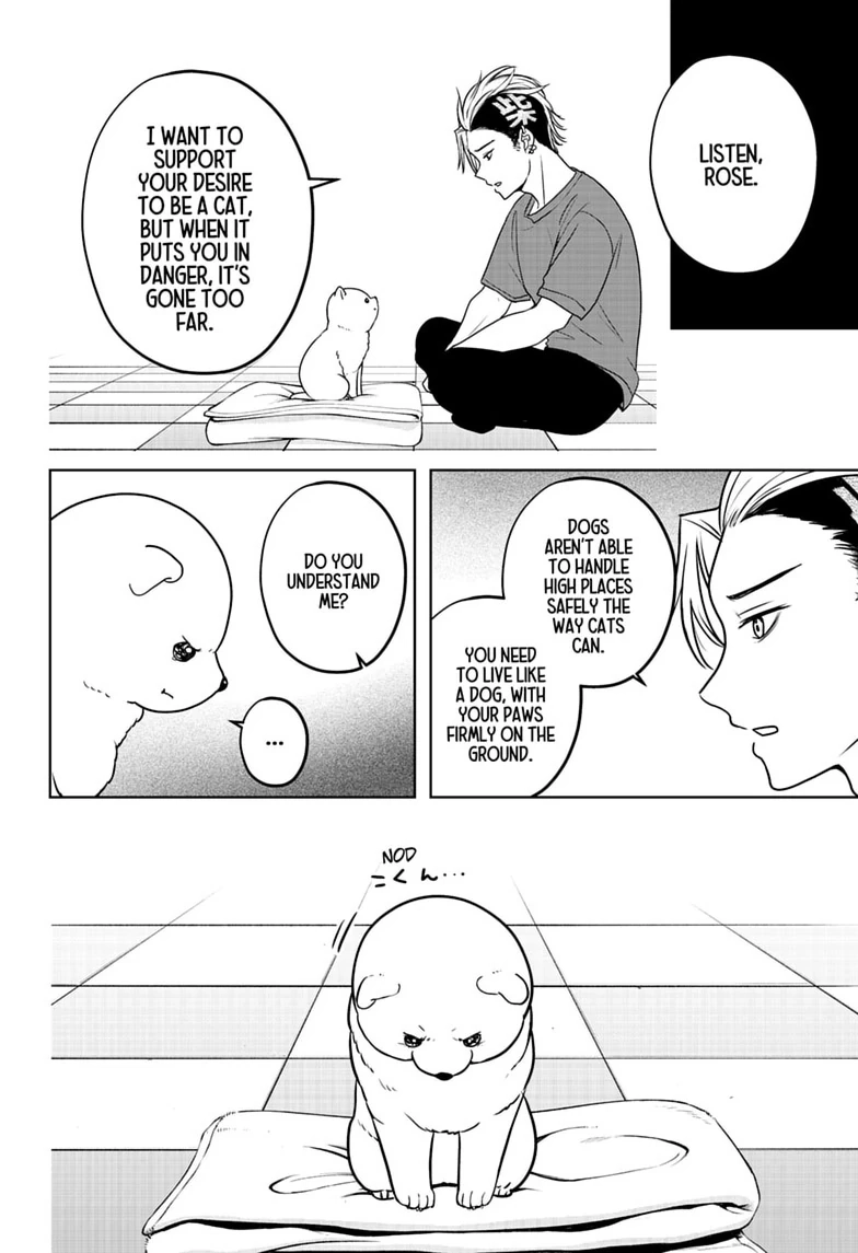 Shiba Inu Rooms Chapter 53 page 18 - 