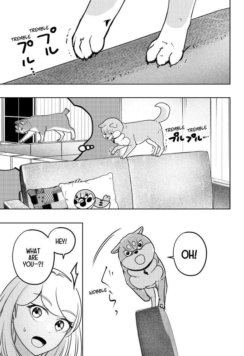 Shiba Inu Rooms Chapter 53 page 25 - 