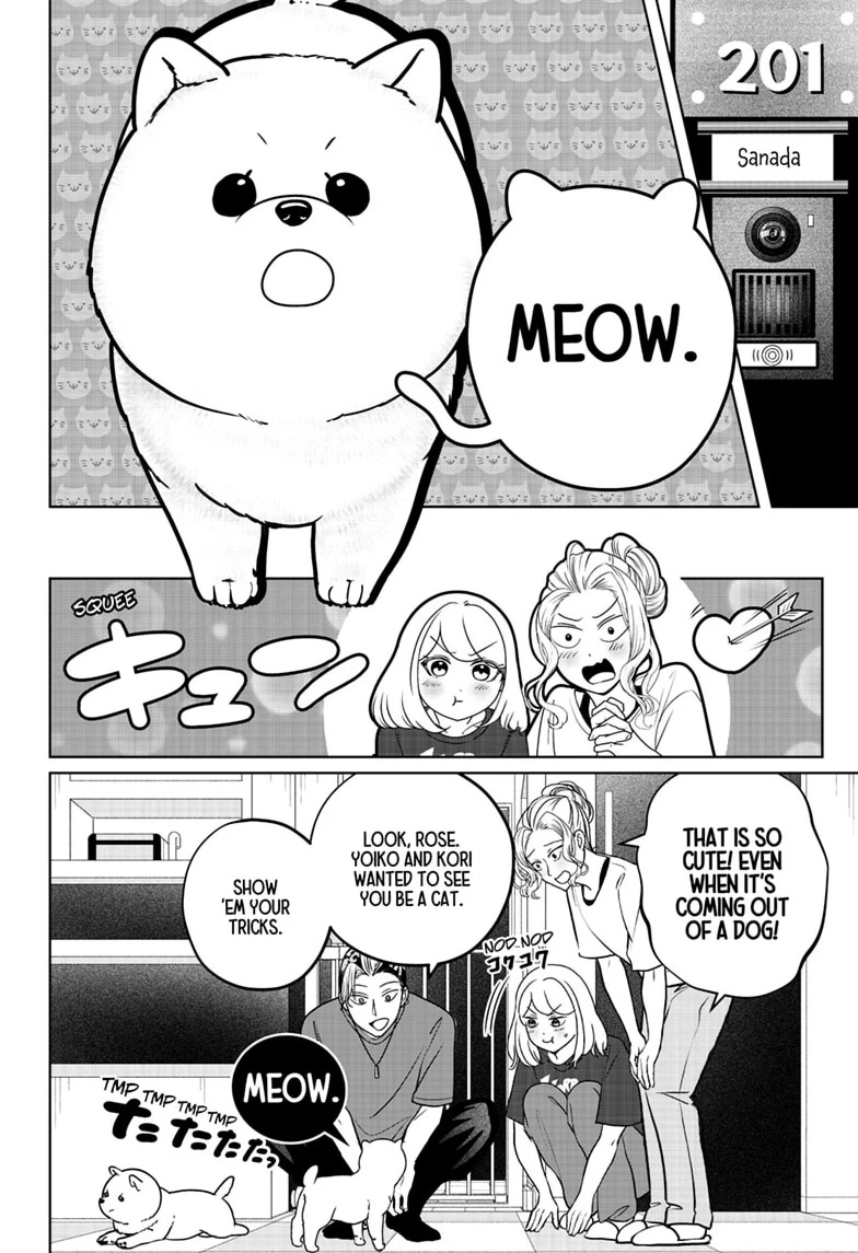 Shiba Inu Rooms Chapter 53 page 10 - 