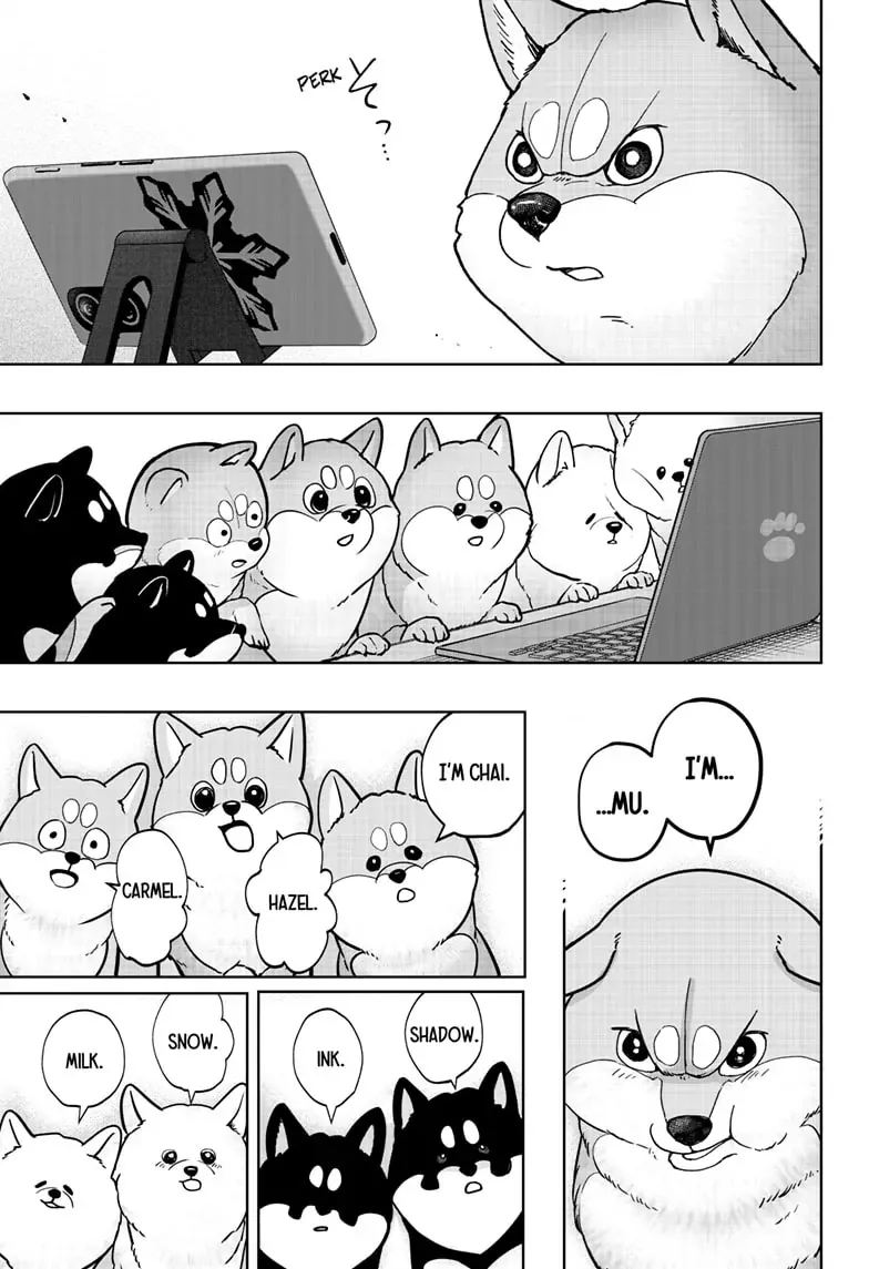 Shiba Inu Rooms Chapter 6 page 17 - 