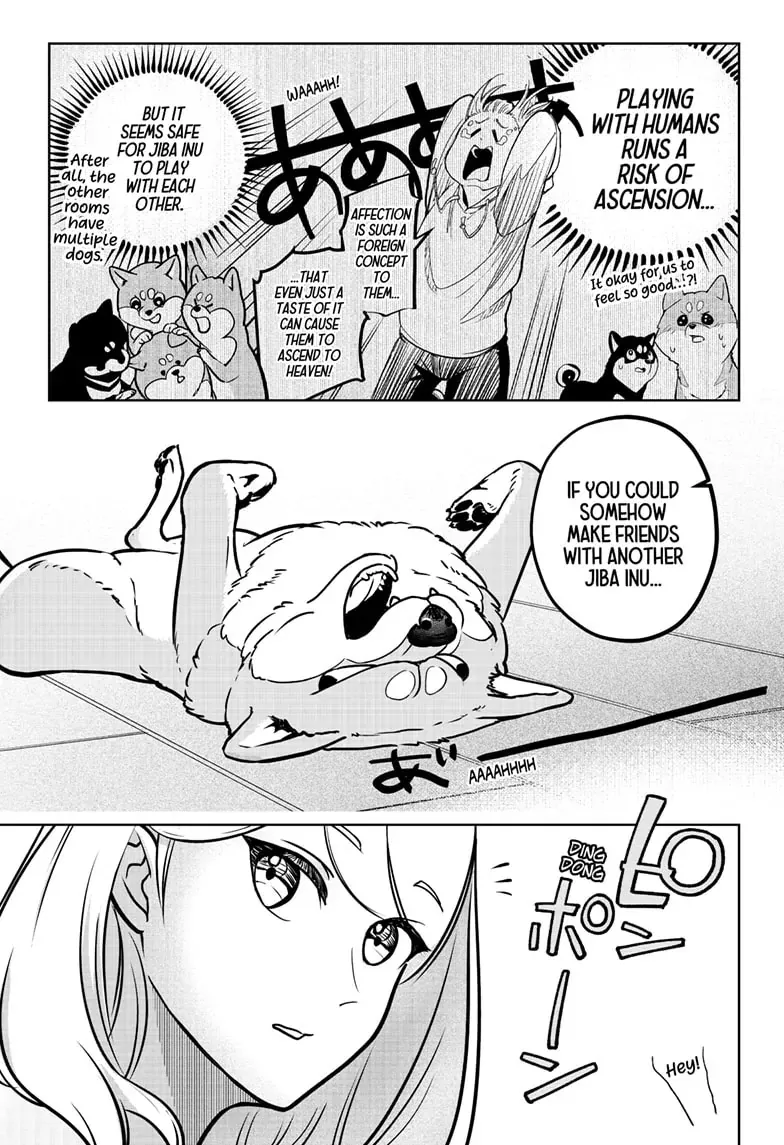 Shiba Inu Rooms Chapter 6 page 9 - 