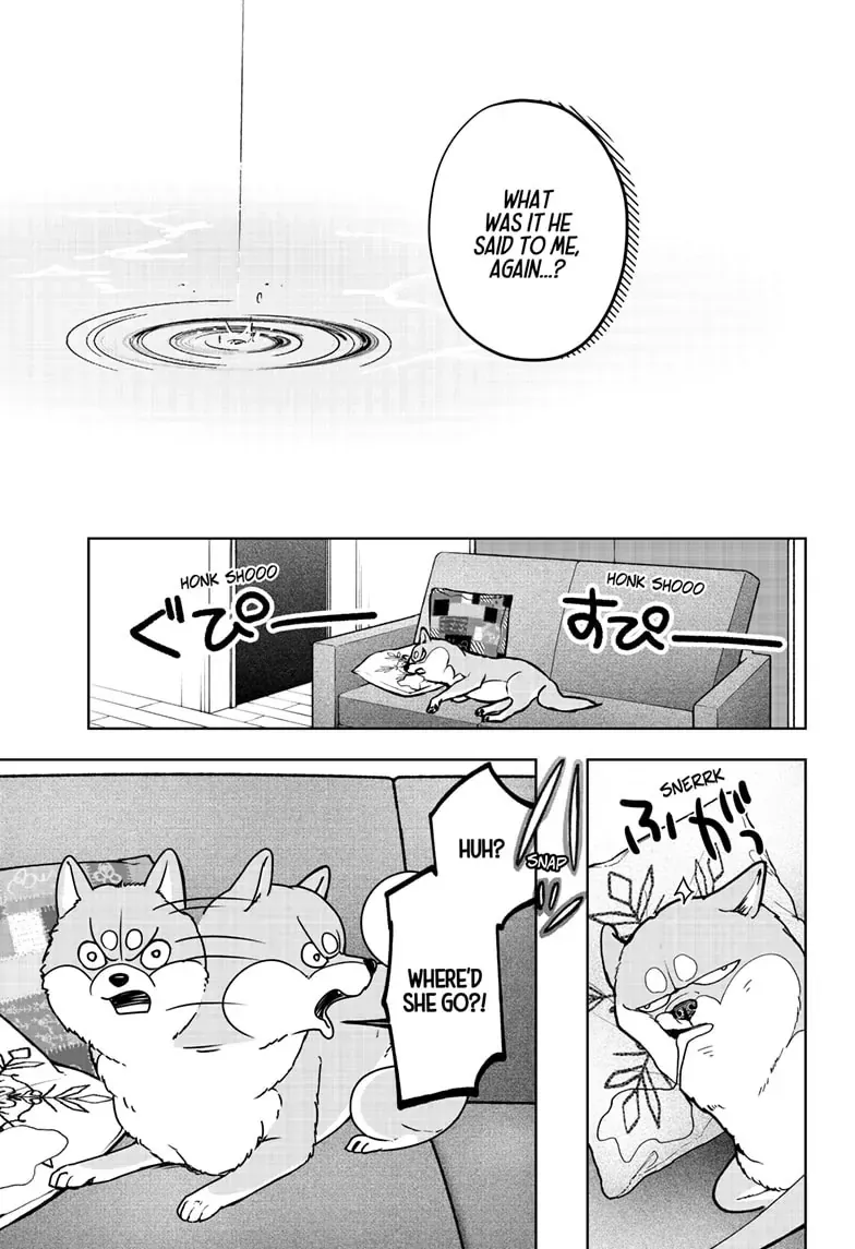 Shiba Inu Rooms Chapter 7 page 15 - 