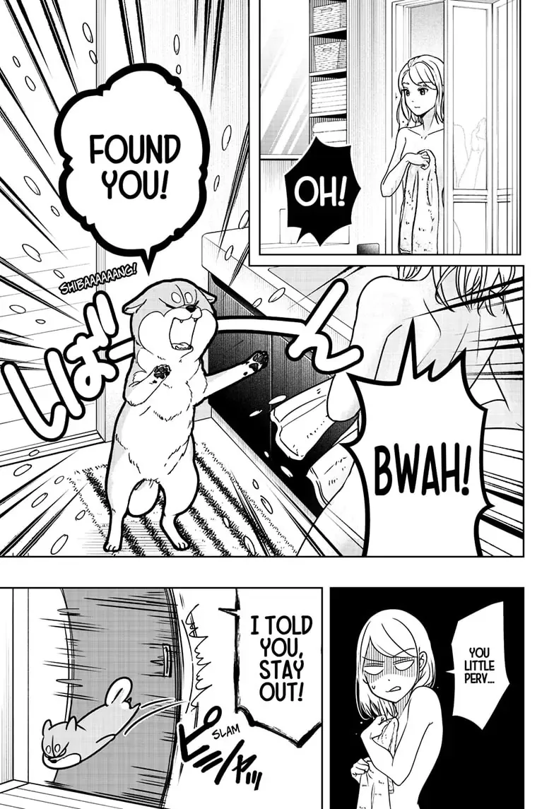 Shiba Inu Rooms Chapter 7 page 17 - 