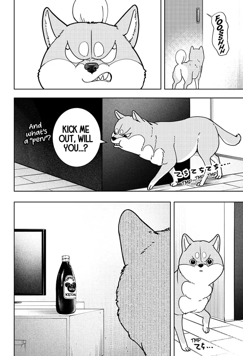 Shiba Inu Rooms Chapter 7 page 18 - 