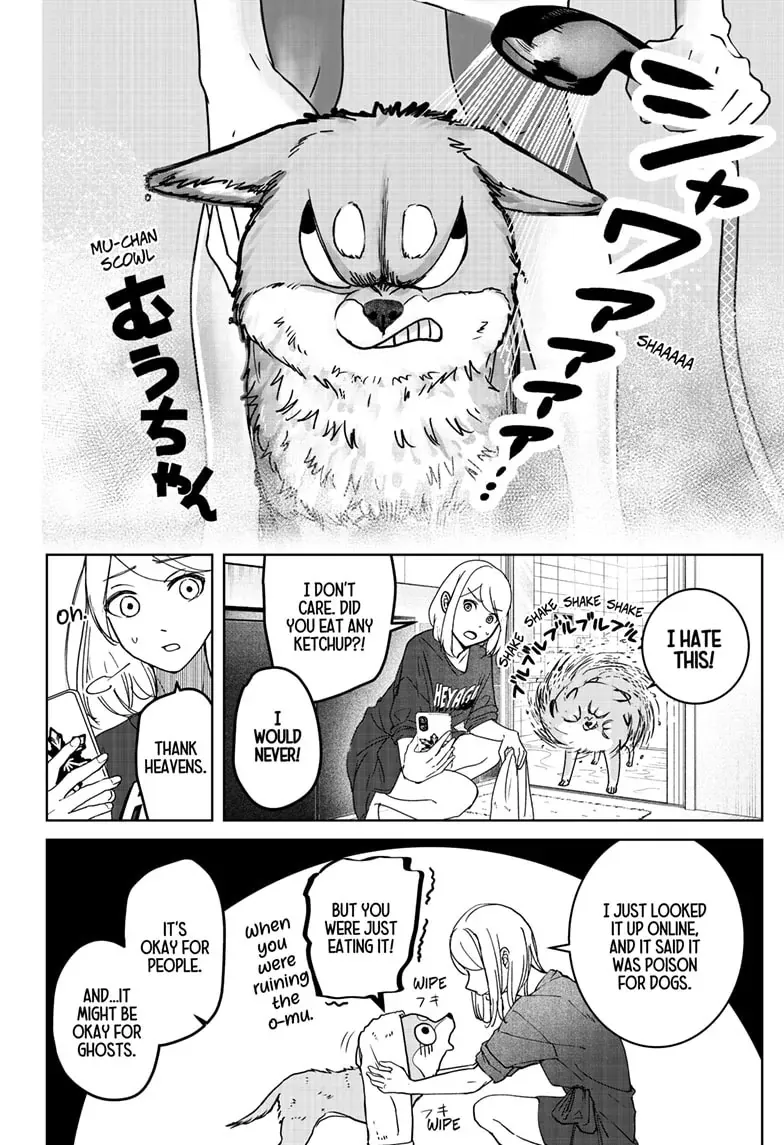 Shiba Inu Rooms Chapter 7 page 22 - 