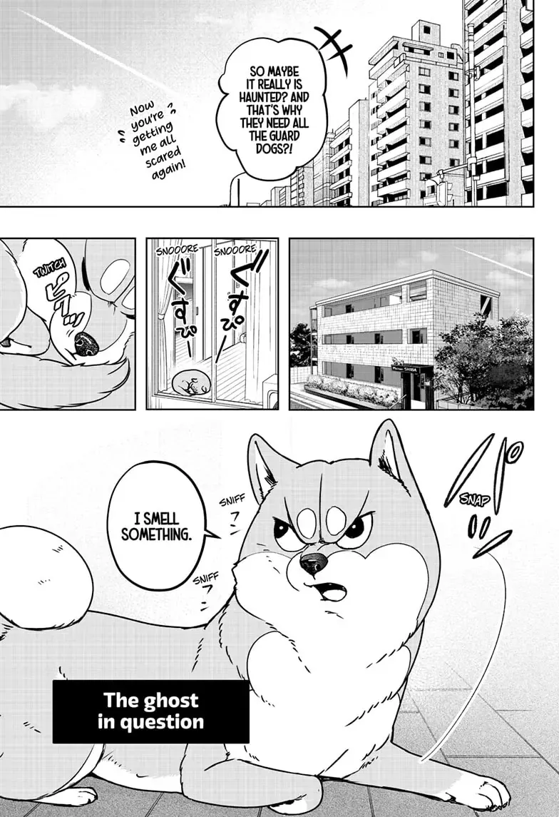 Shiba Inu Rooms Chapter 7 page 5 - 