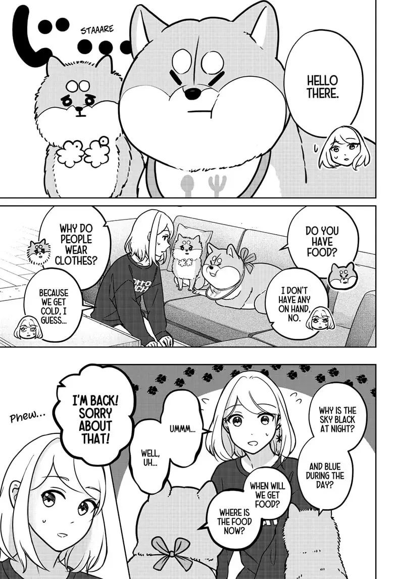Shiba Inu Rooms Chapter 8 page 13 - 
