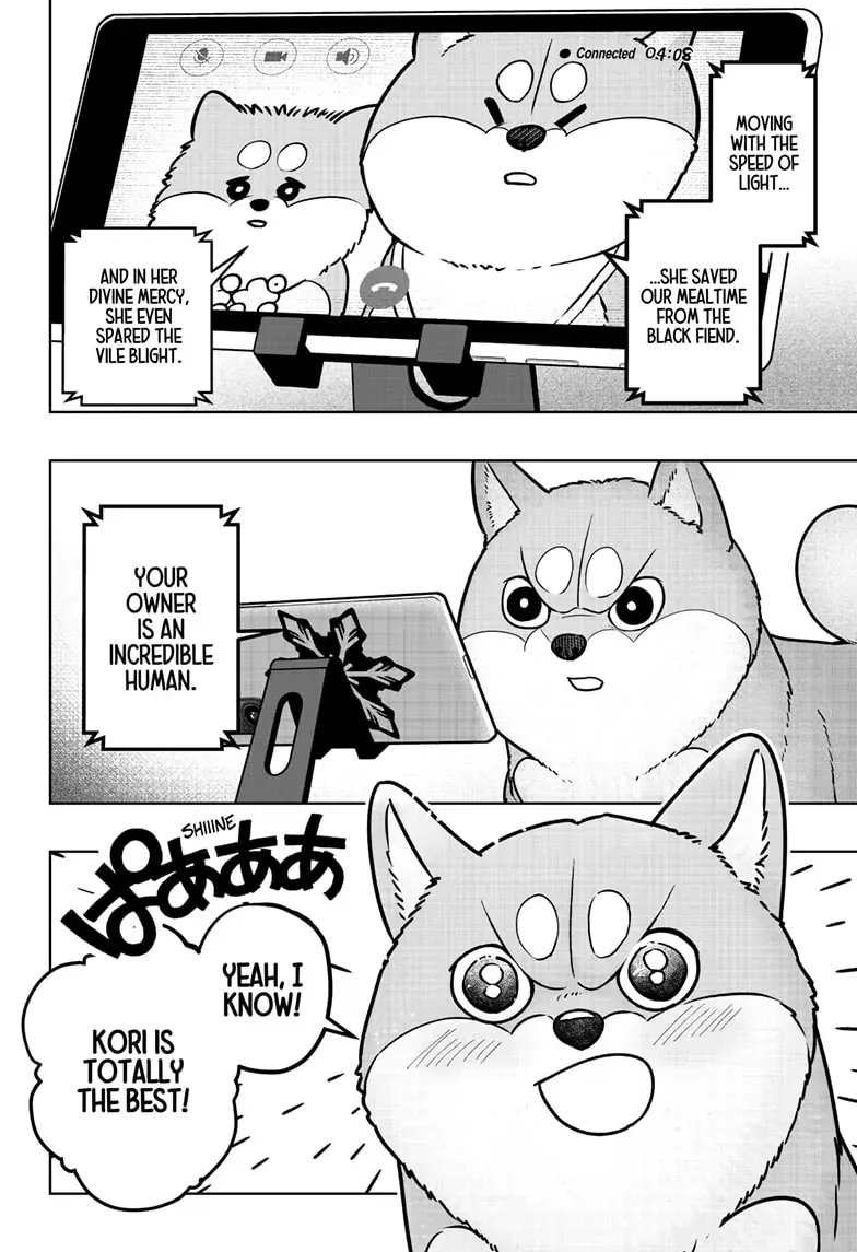 Shiba Inu Rooms Chapter 8 page 24 - 