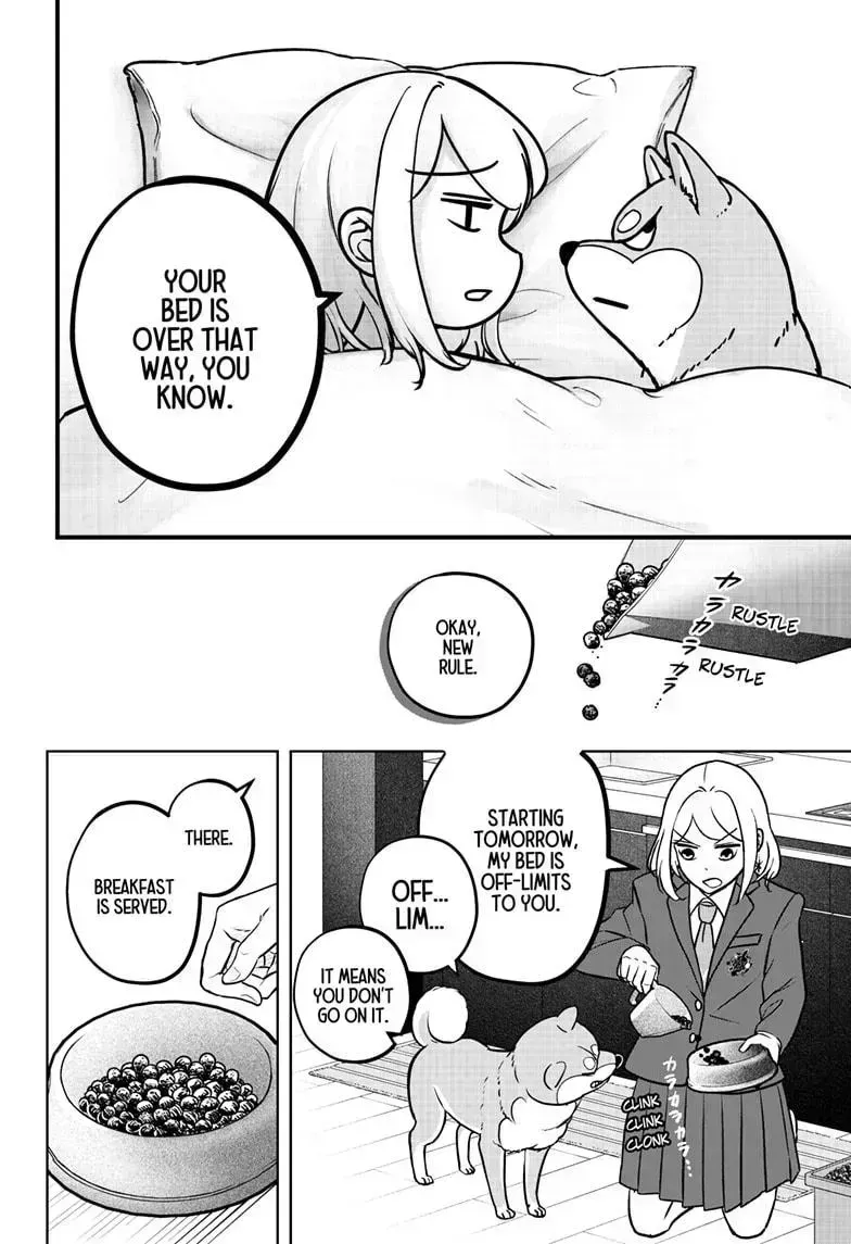Shiba Inu Rooms Chapter 9.2 page 15 - 