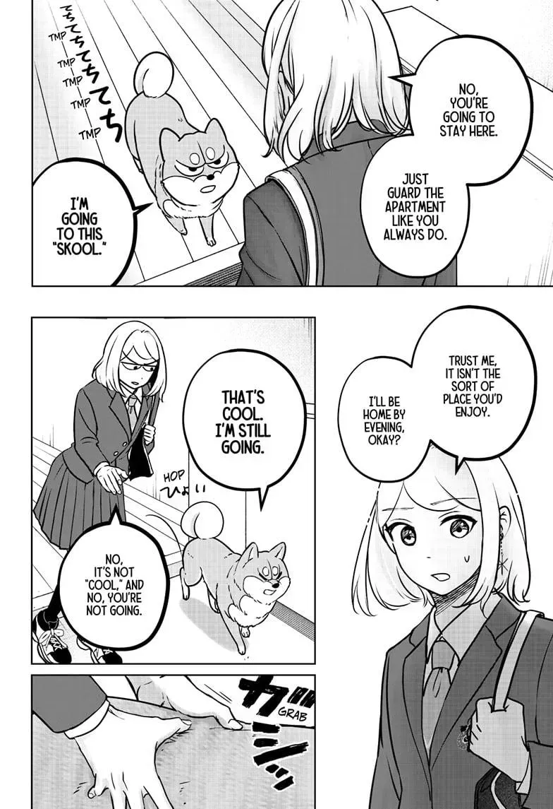 Shiba Inu Rooms Chapter 9.2 page 17 - 