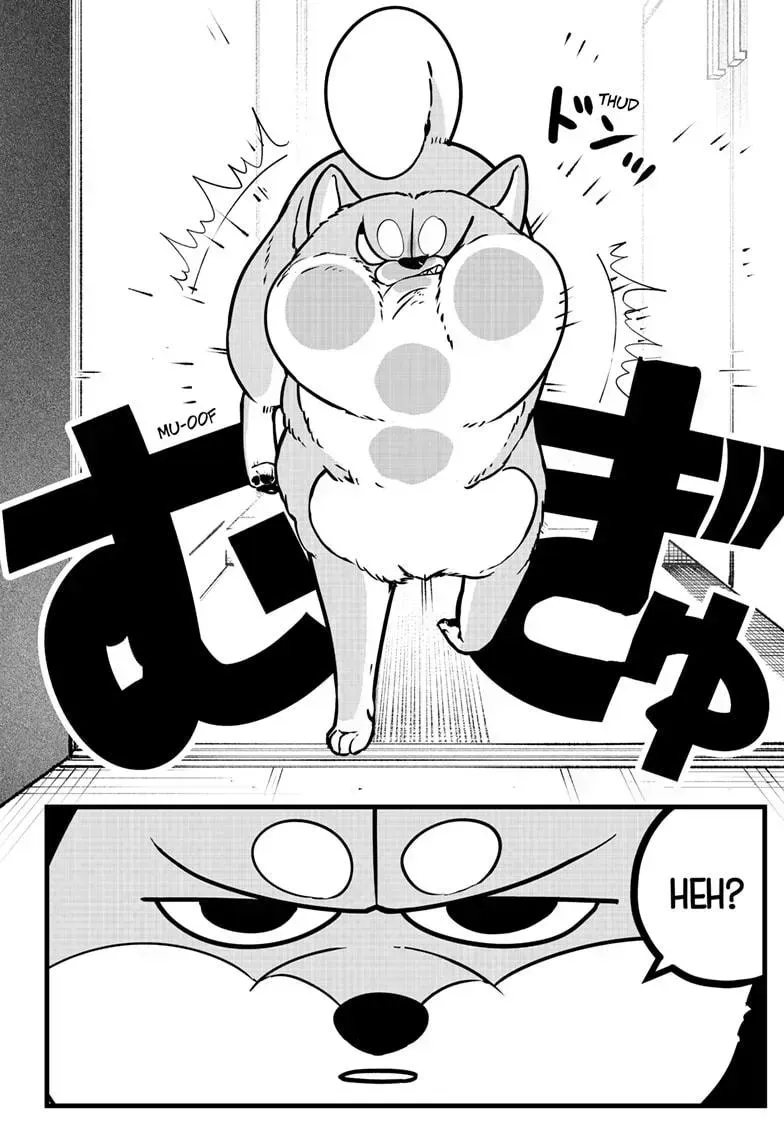 Shiba Inu Rooms Chapter 9.2 page 21 - 