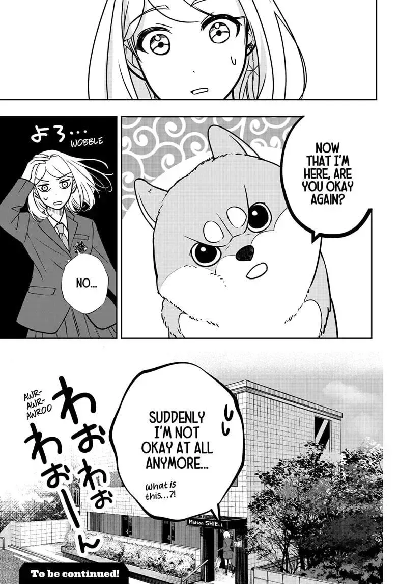 Shiba Inu Rooms Chapter 9.2 page 41 - 