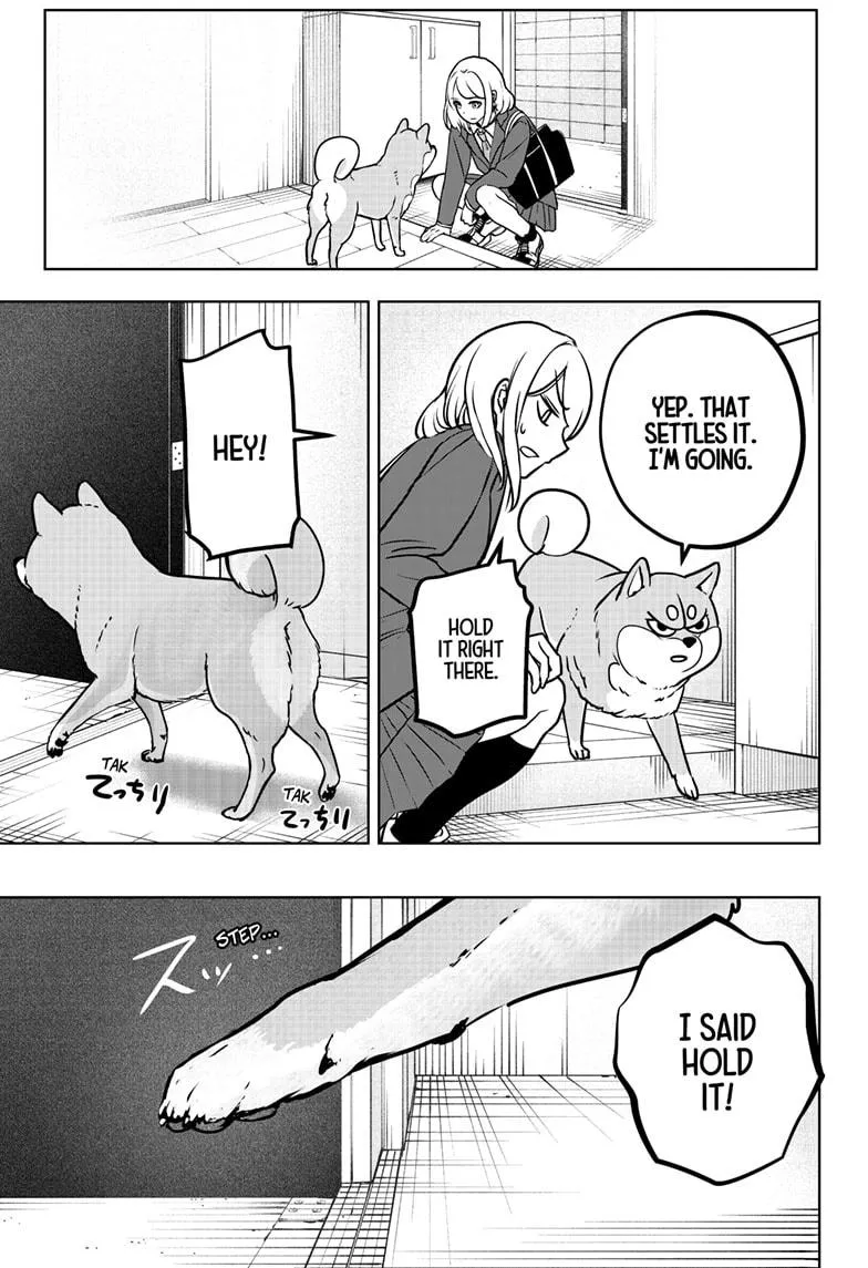 Shiba Inu Rooms Chapter 9 page 20 - 