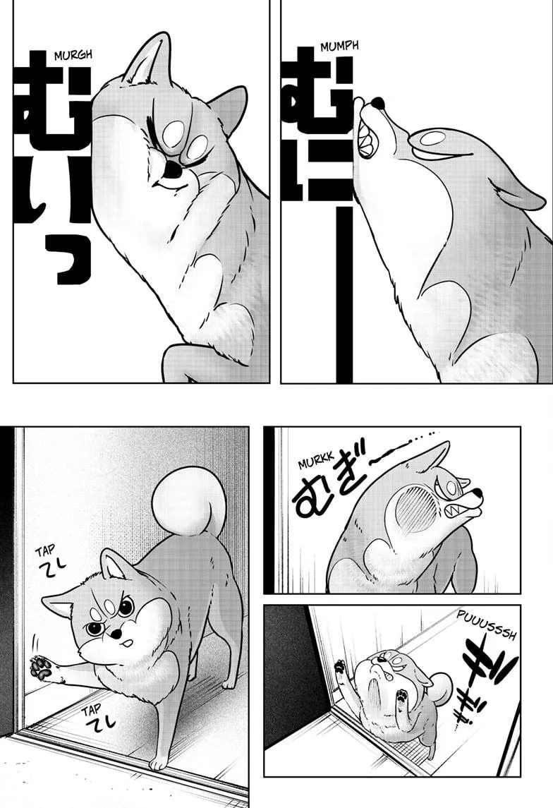 Shiba Inu Rooms Chapter 9 page 22 - 