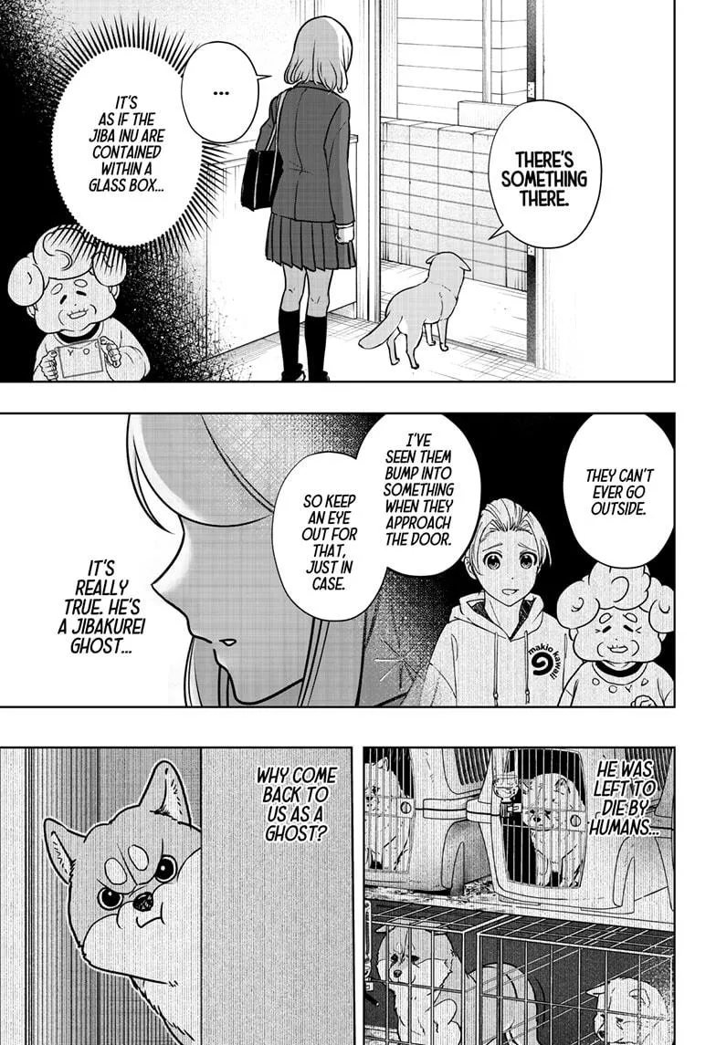 Shiba Inu Rooms Chapter 9 page 24 - 