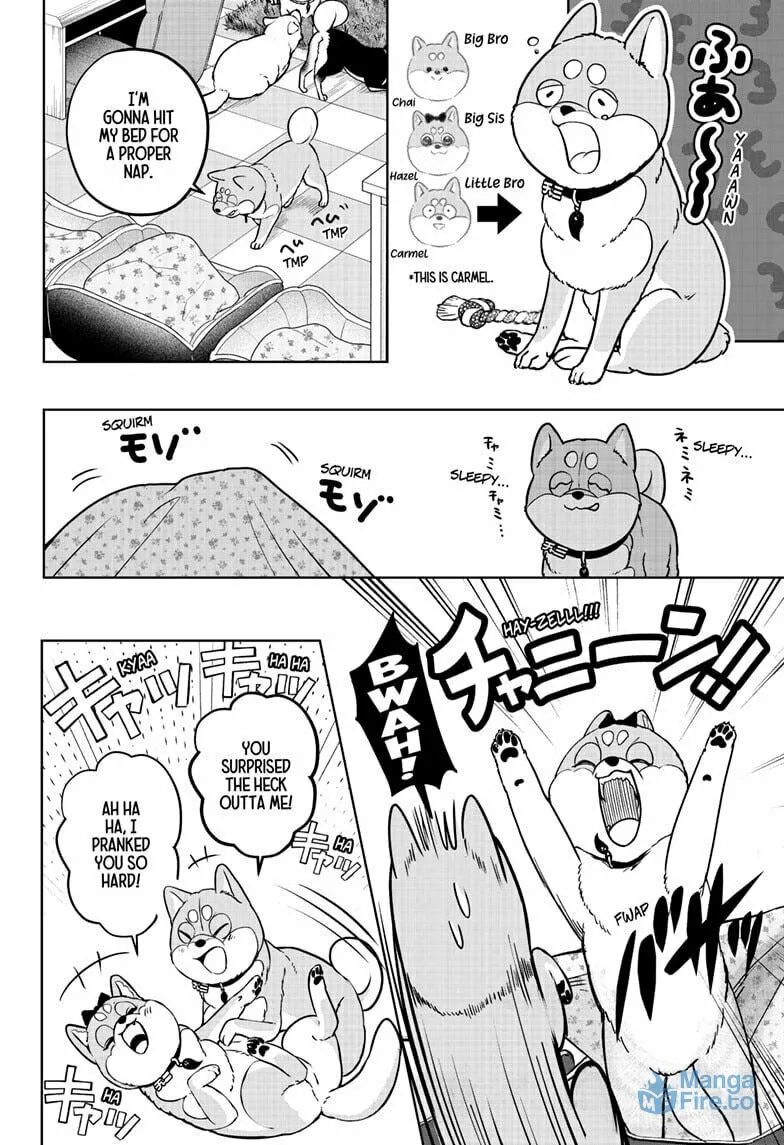 Shiba-Tsuki Bukken Chapter 33 page 6 - 