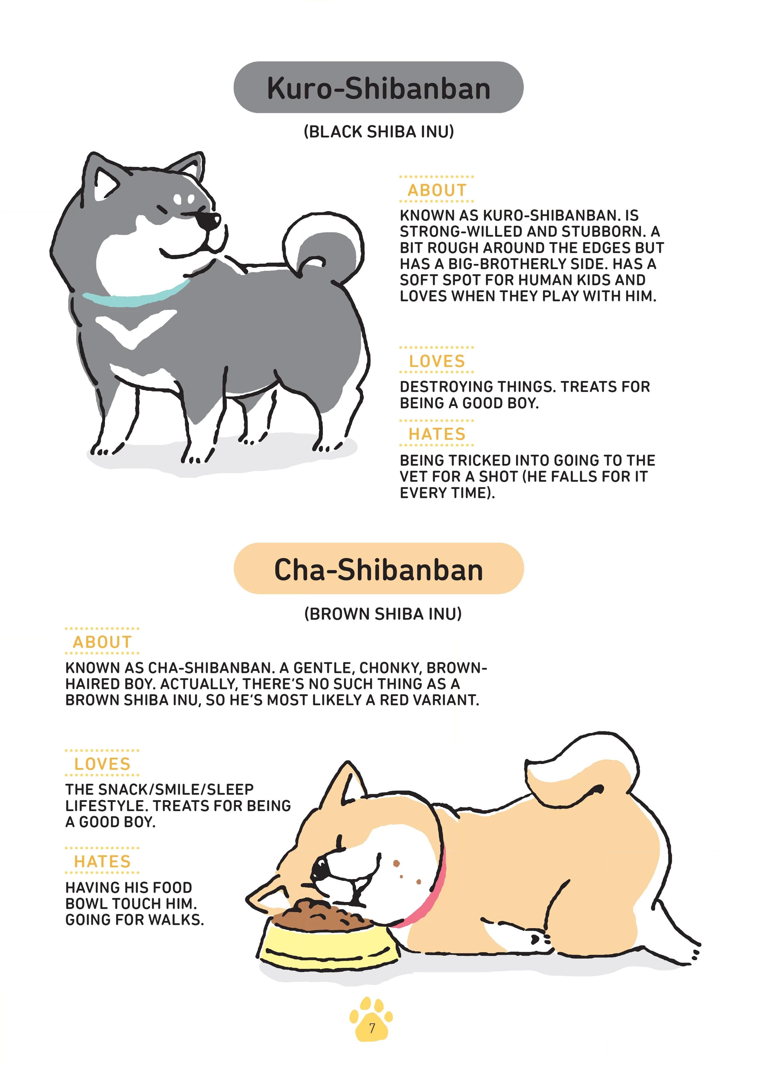 Shibanban Chapter 0 page 8 - 