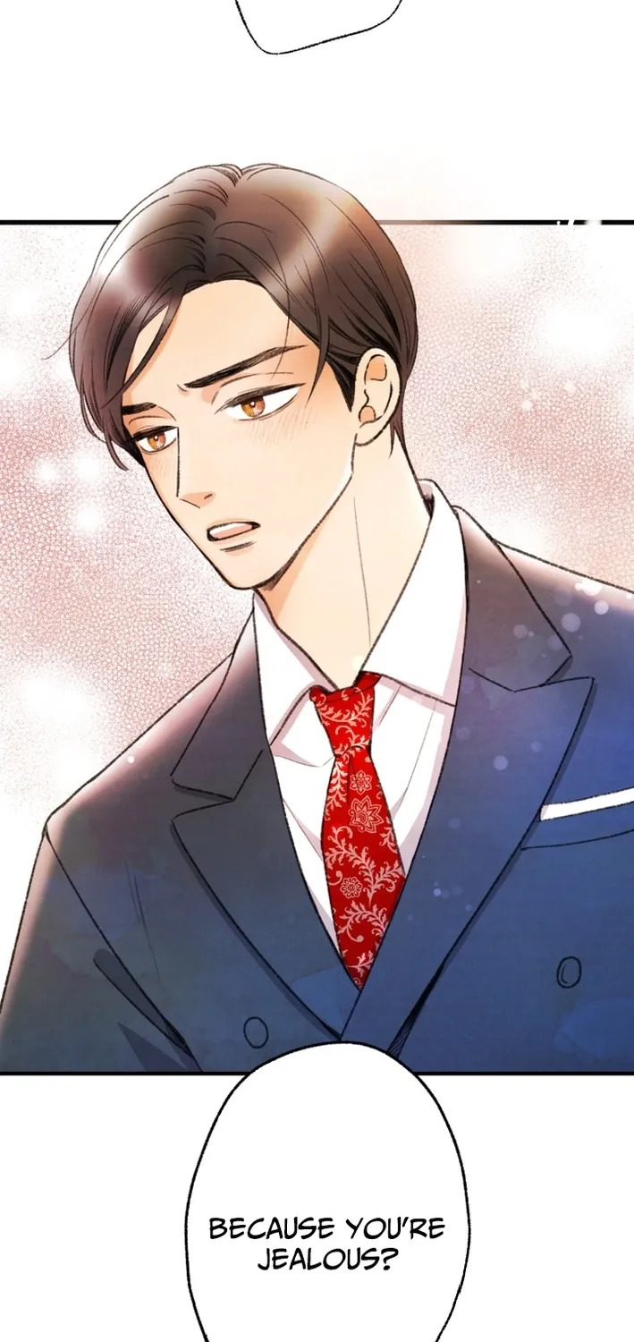 Shidome no Otto Chapter 10 page 21 - 