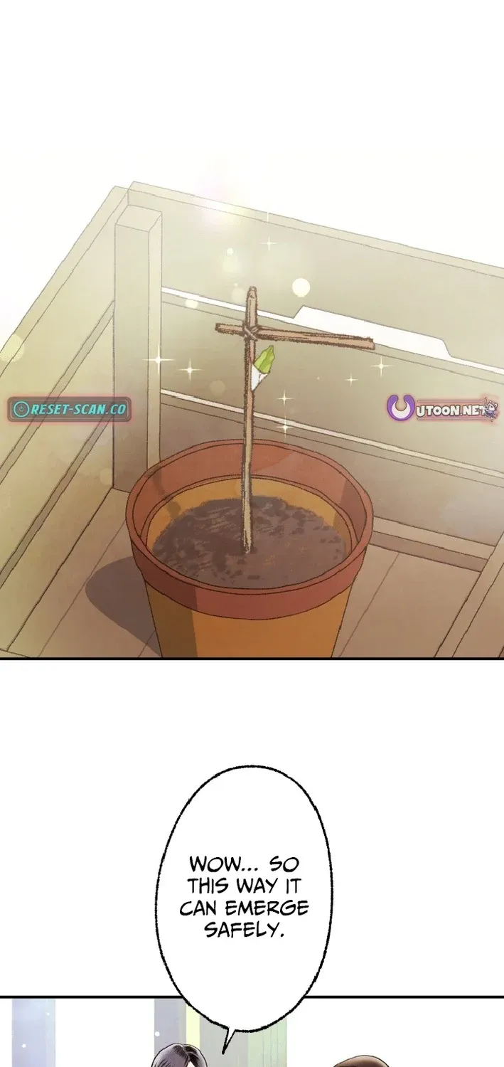 Shidome no Otto Chapter 11 page 39 - 