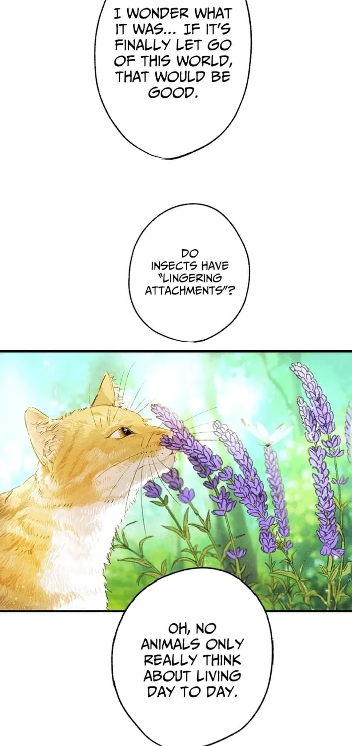 Shidome no Otto Chapter 13 page 54 - 