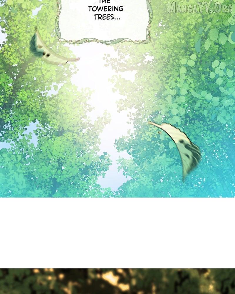 Shifting Tails Chapter 1 page 34 - 