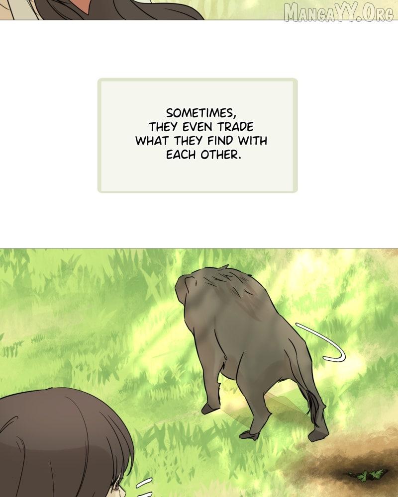 Shifting Tails Chapter 1 page 5 - 
