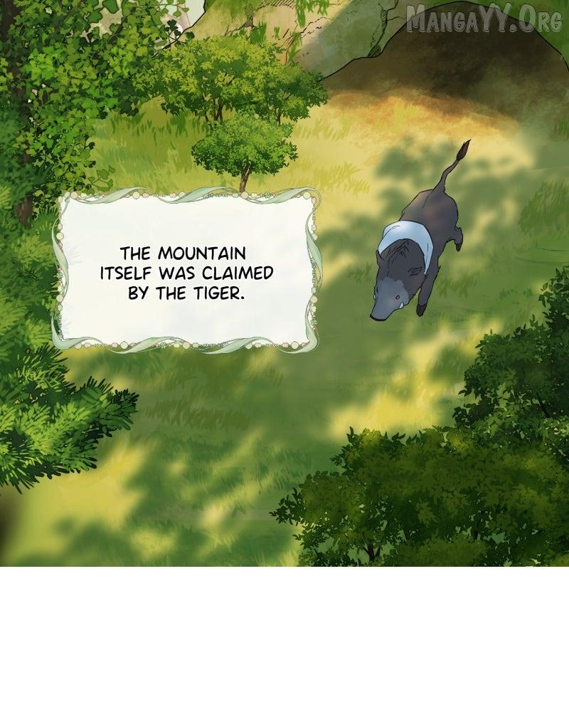 Shifting Tails Chapter 1 page 41 - 