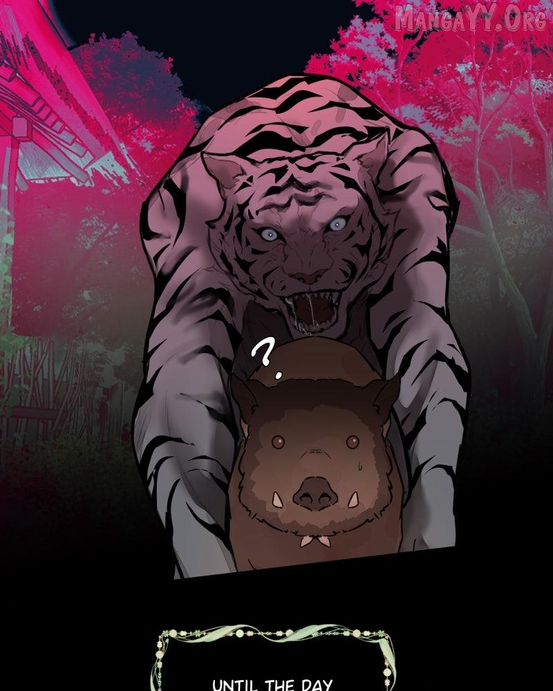 Shifting Tails Chapter 1 page 45 - 