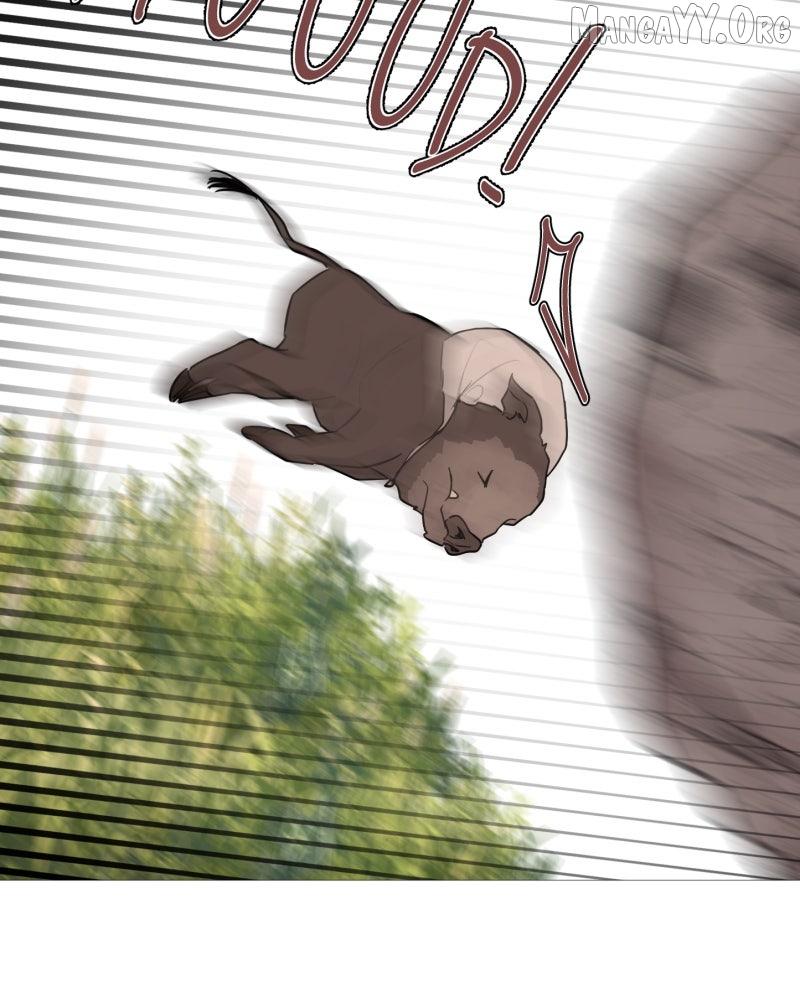 Shifting Tails Chapter 1 page 66 - 