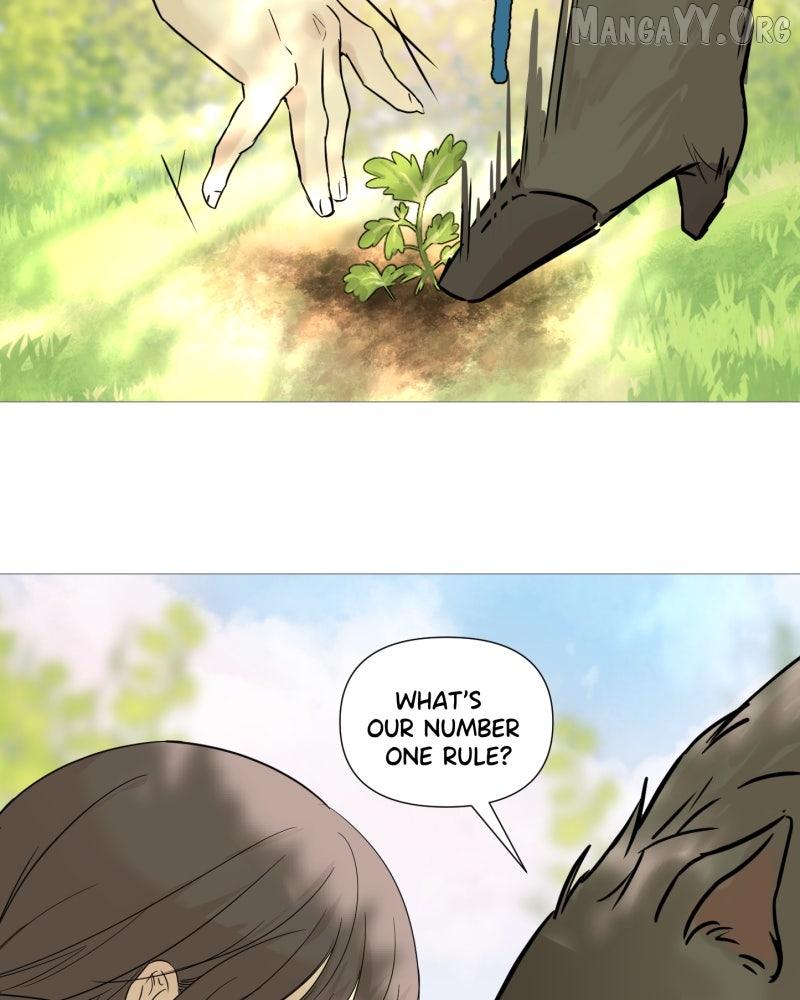 Shifting Tails Chapter 1 page 8 - 