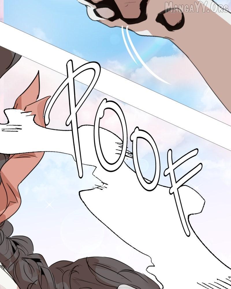 Shifting Tails Chapter 1 page 90 - 