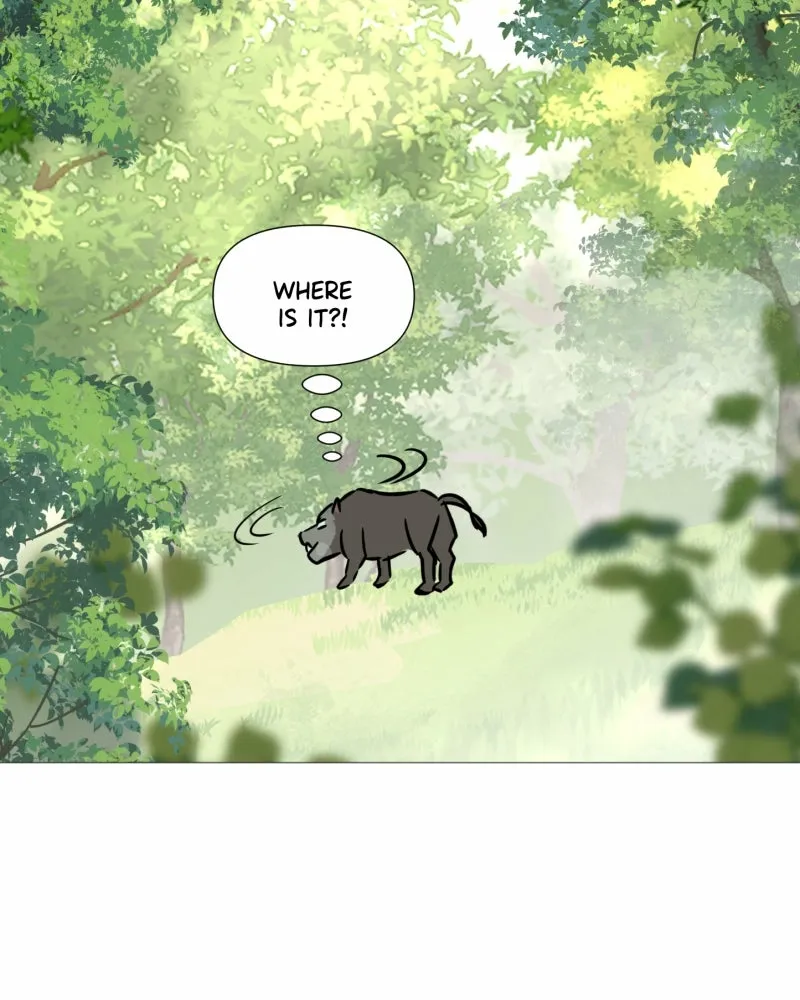 Shifting Tails Chapter 10 page 47 - 