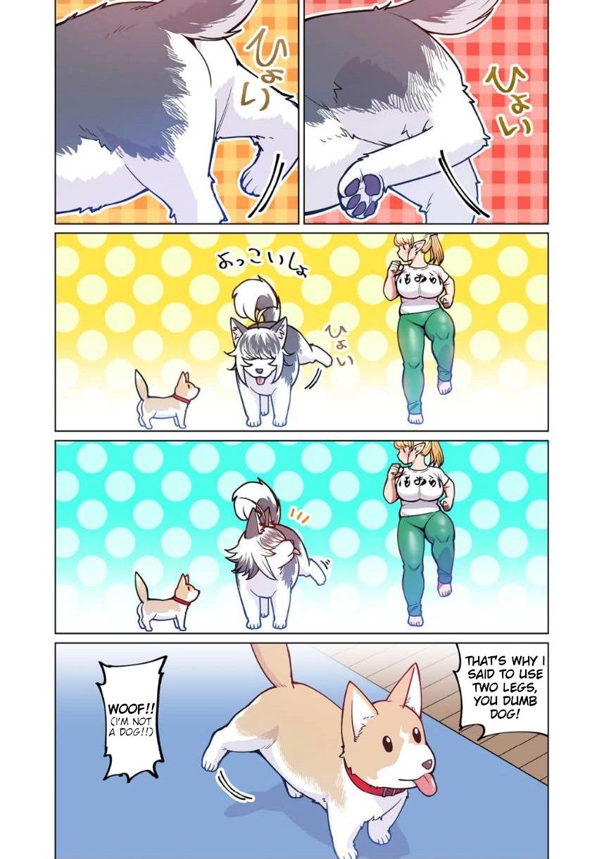 Shin Elf-san wa Yaserarenai. (Official Colored) Chapter 4 page 23 - 