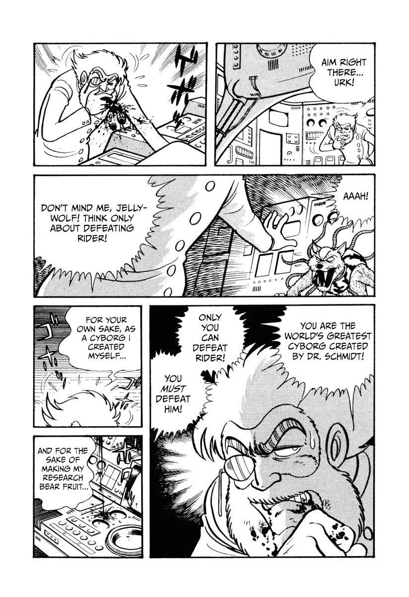 Shin Kamen Rider Chapter 7 page 17 - 