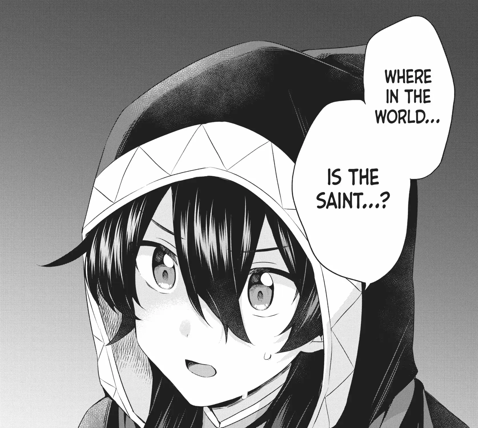 Shin no Seijo de aru Watashi wa Tsuihou Saremashita. Dakara Kono Kuni wa Mou Owari desu Chapter 24 page 75 - 