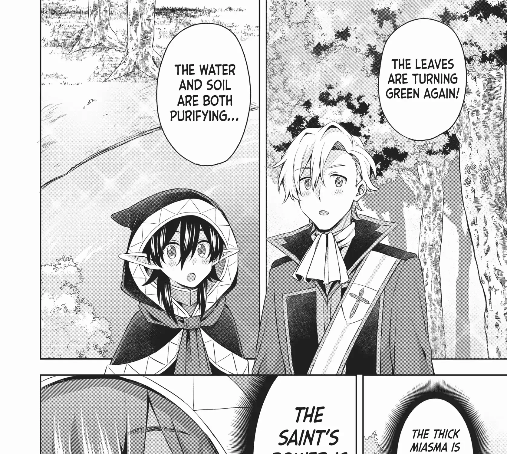 Shin no Seijo de aru Watashi wa Tsuihou Saremashita. Dakara Kono Kuni wa Mou Owari desu Chapter 27 page 43 - 
