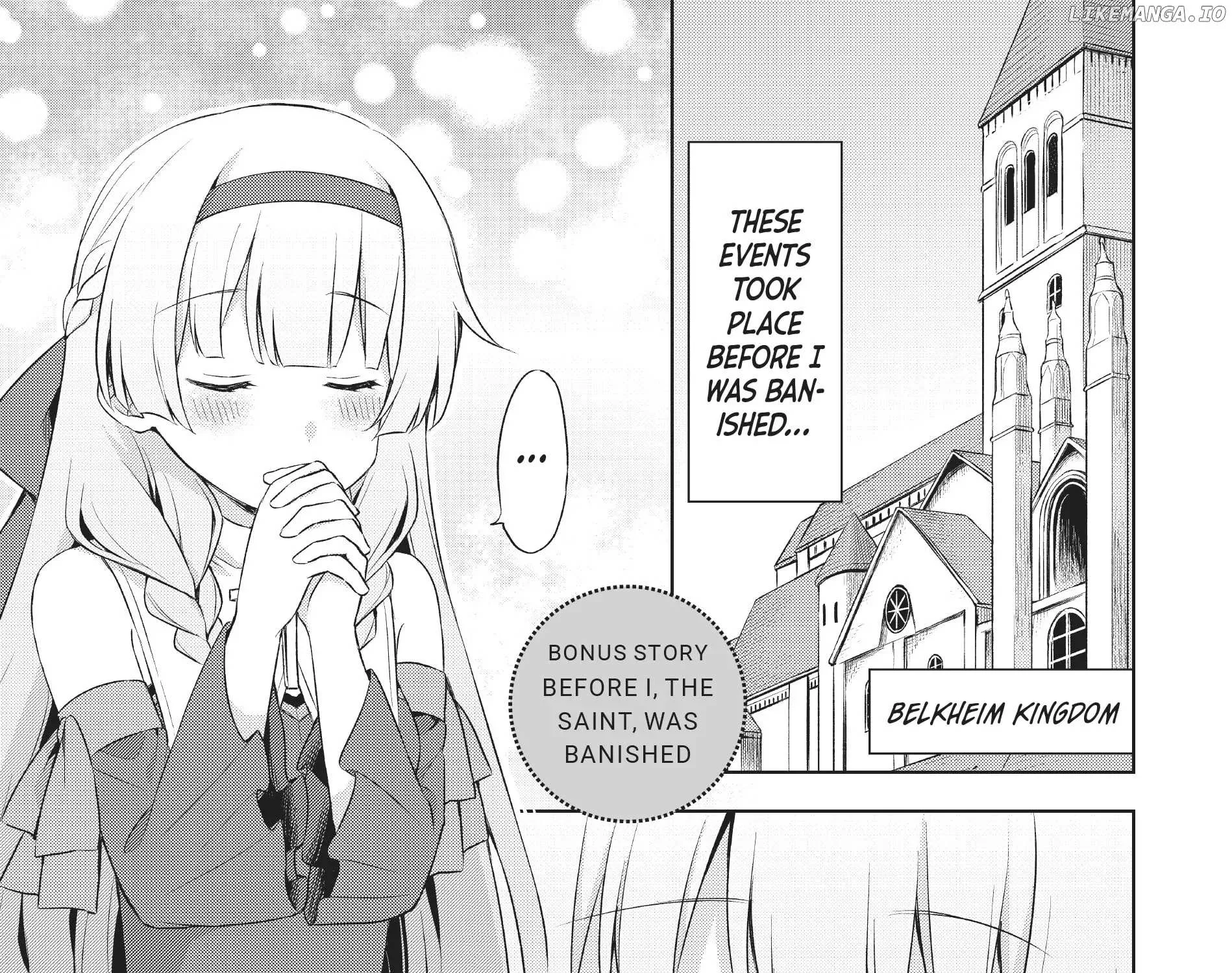 Shin no Seijo de aru Watashi wa Tsuihou Saremashita. Dakara Kono Kuni wa Mou Owari desu Chapter 4.5 page 2 - 