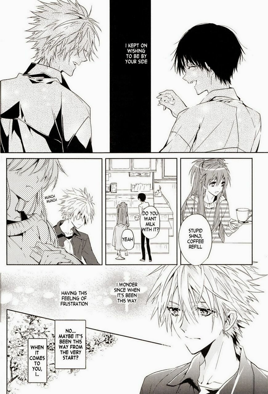 Shin Seiki Evangelion dj - Mirai no Tobira Chapter 1 page 11 - 