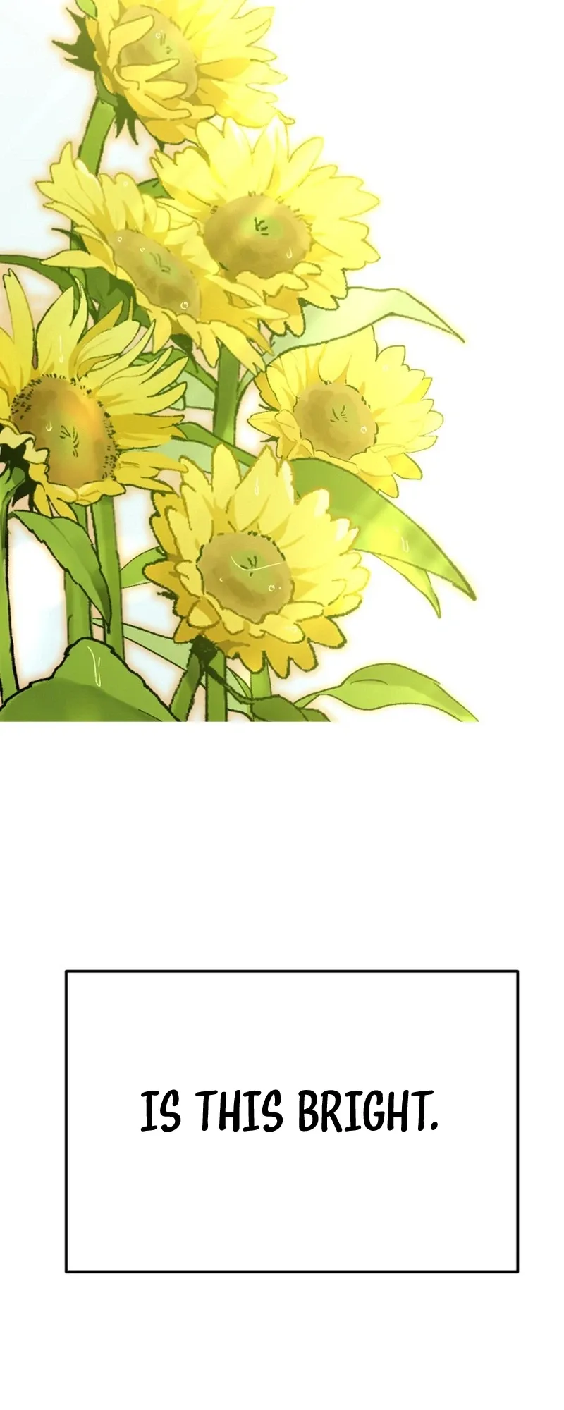 Shining Nana Nana Chapter 71 page 33 - 