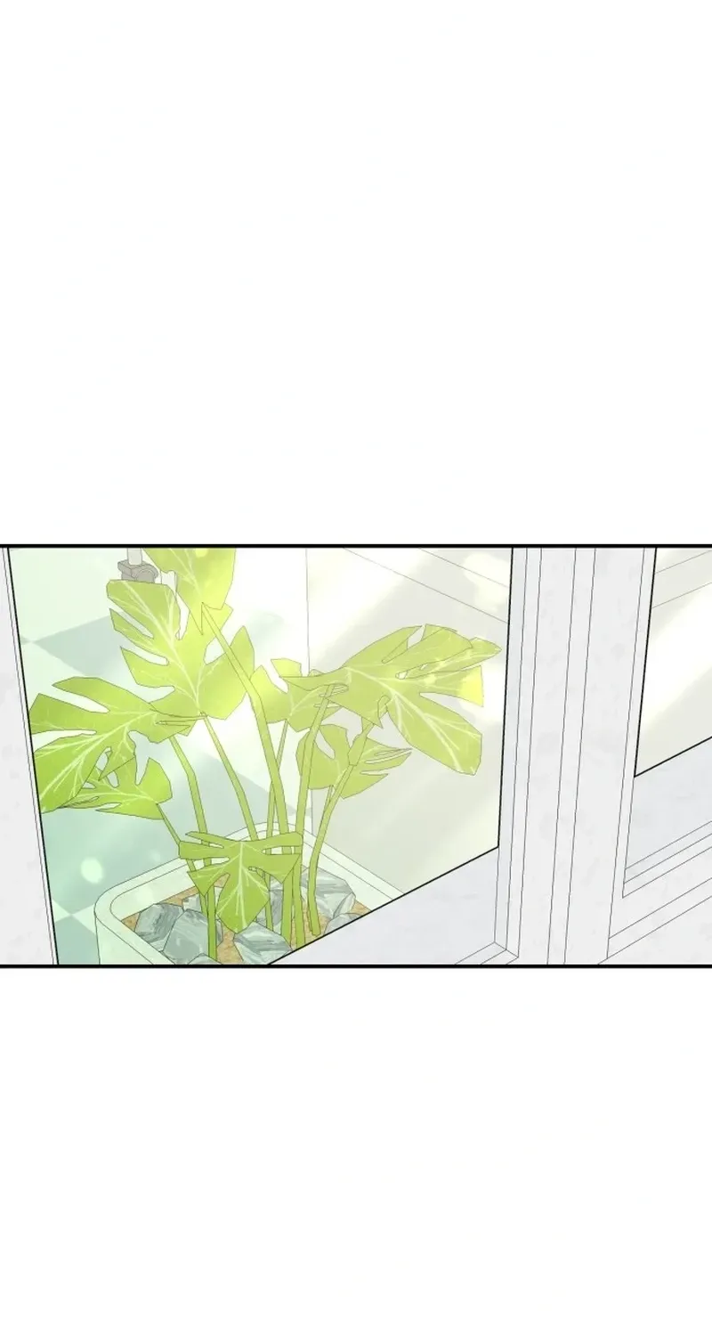 Shining Nananana Chapter 62 page 31 - 