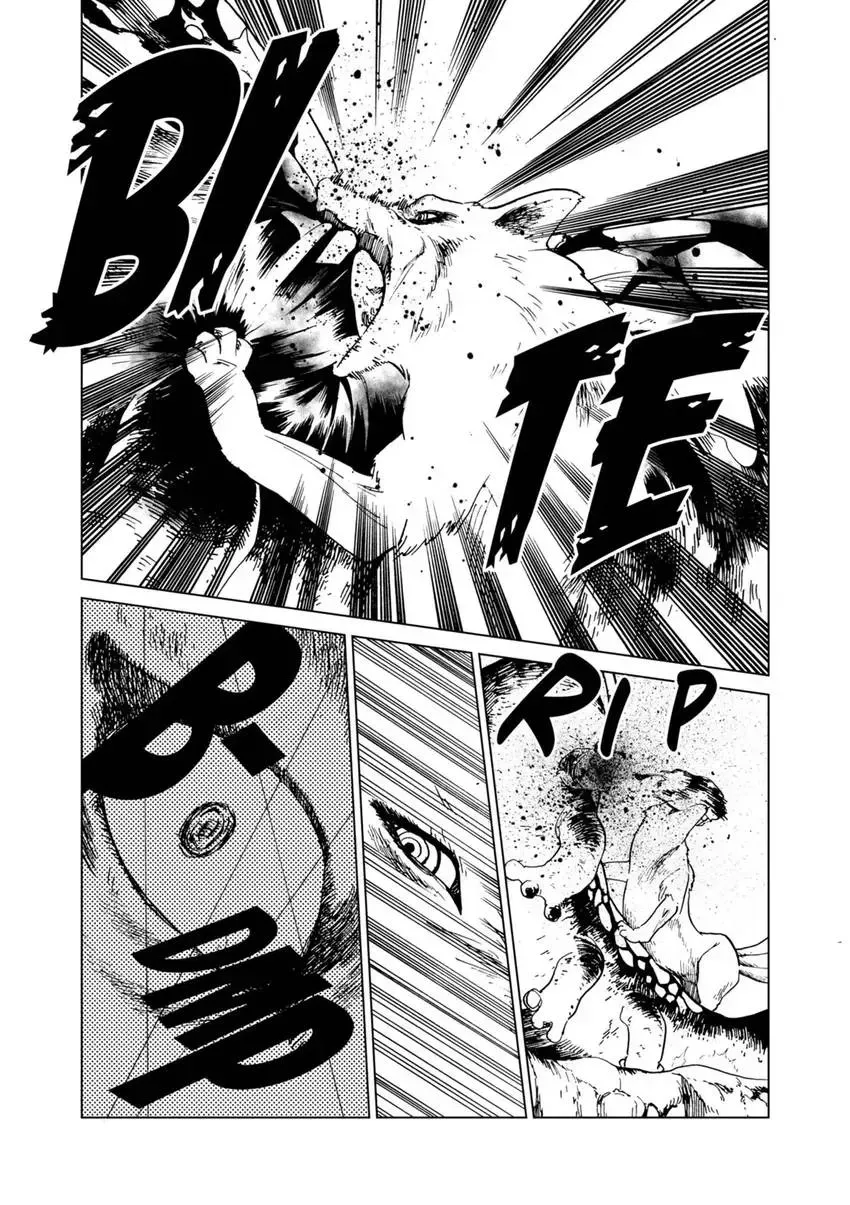 Shintouki: Teogonia Chapter 55 page 13 - 