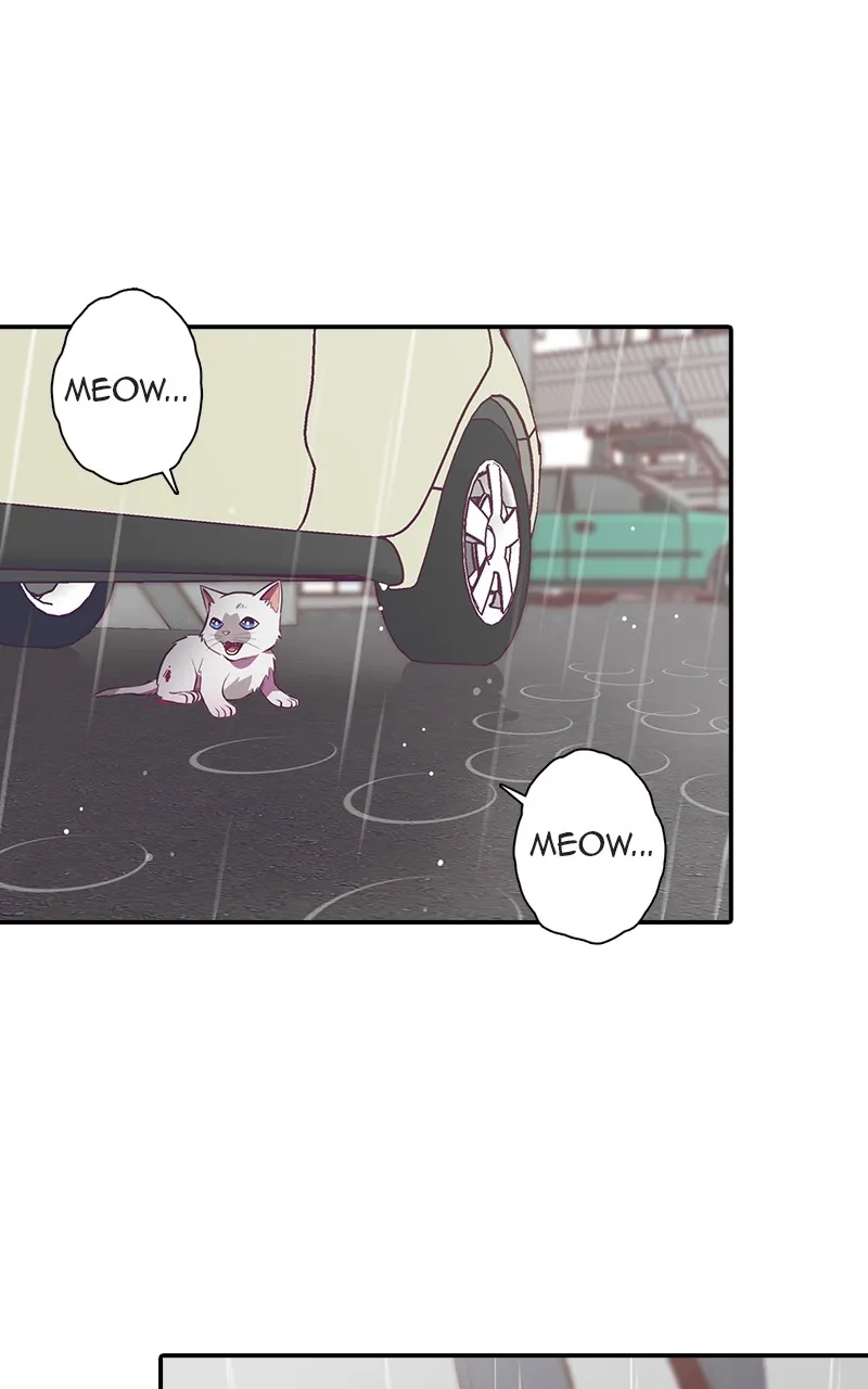 SHIRAI Chapter 1 page 66 - 