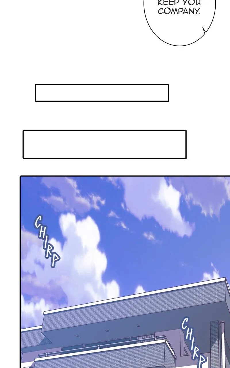 SHIRAI Chapter 15 page 42 - 