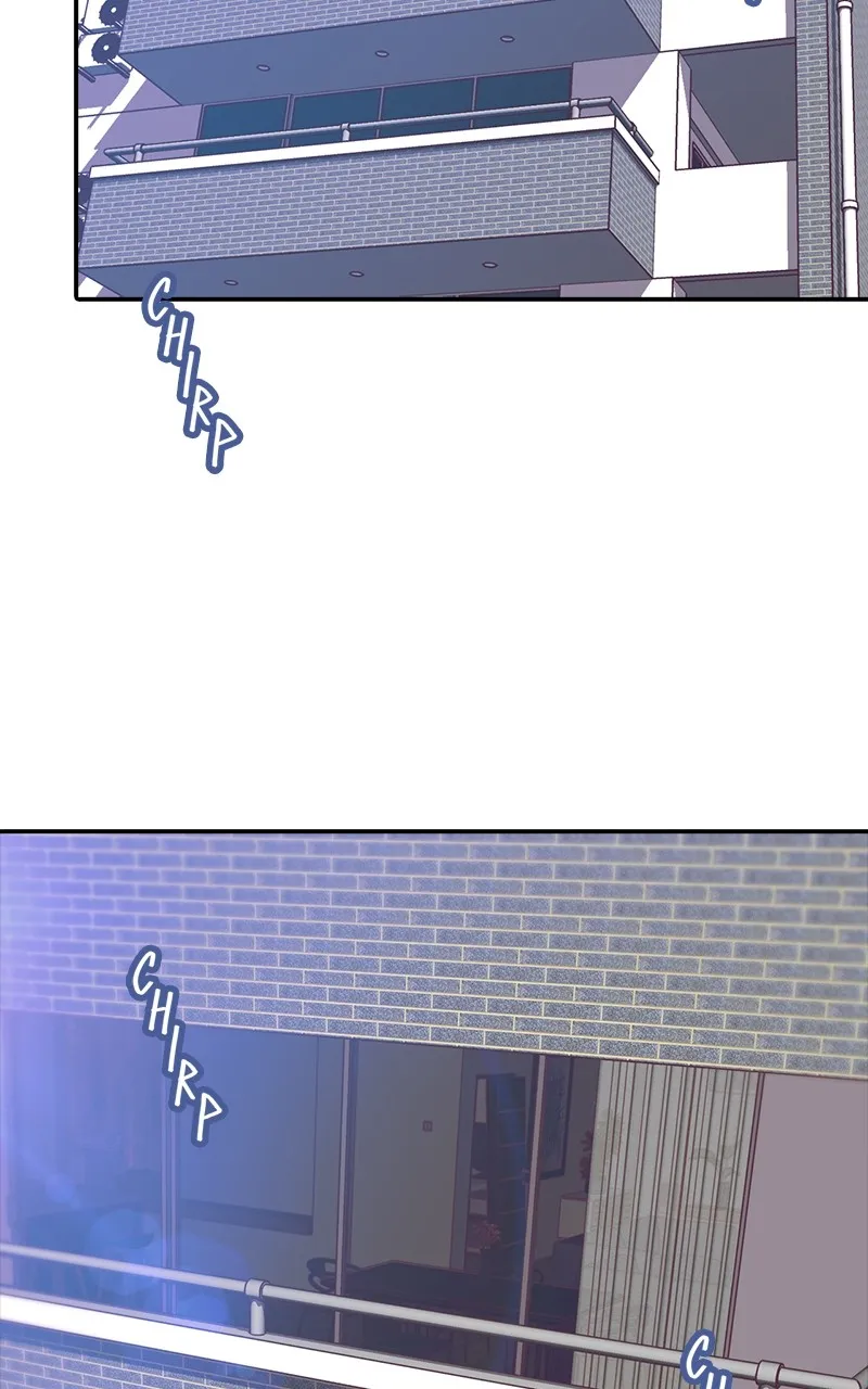 SHIRAI Chapter 15 page 43 - 