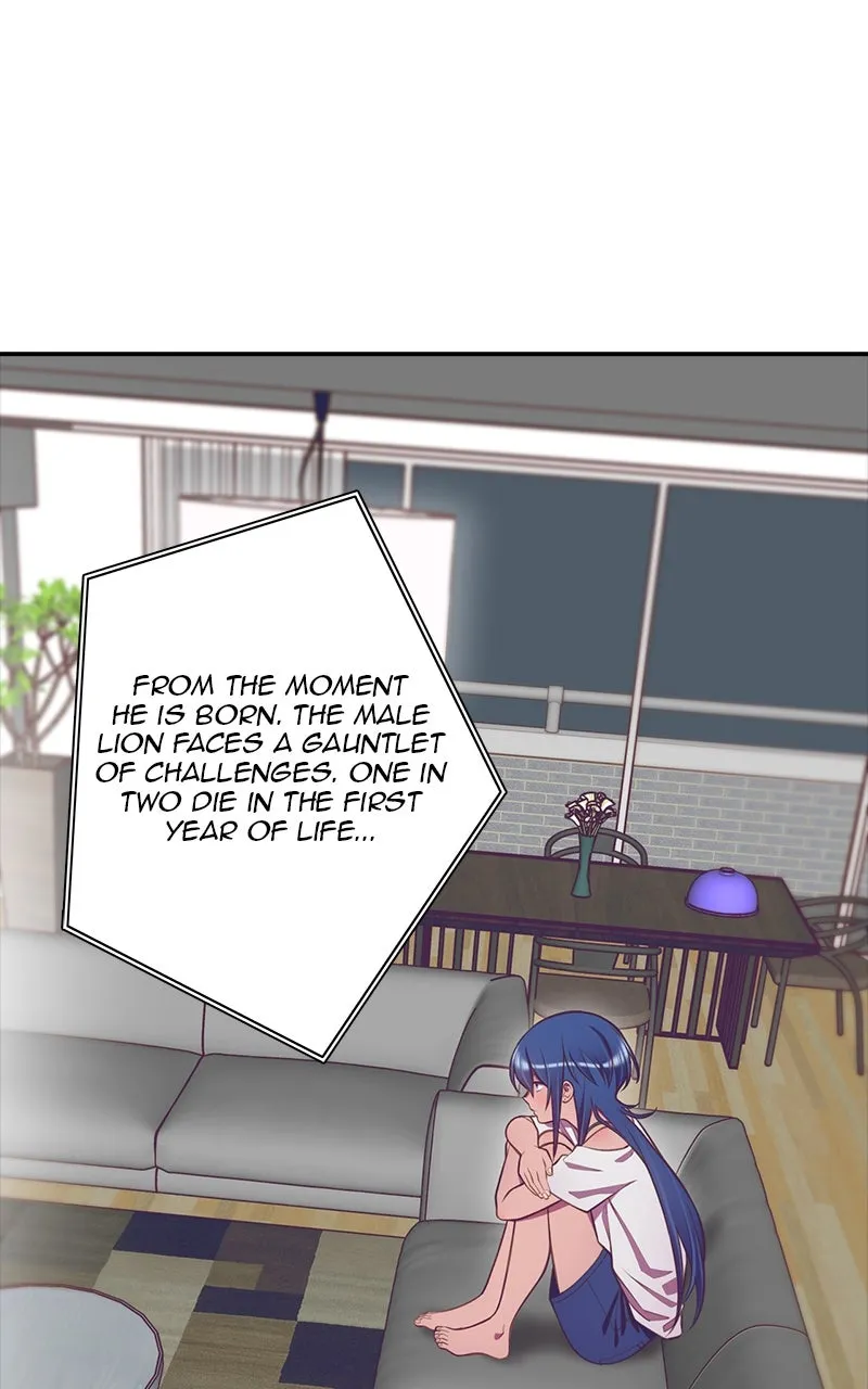SHIRAI Chapter 17 page 1 - 