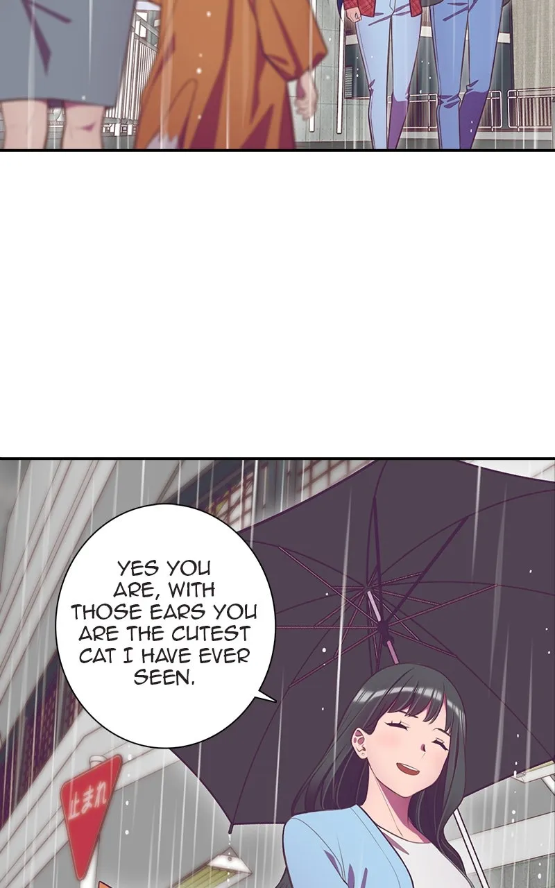 SHIRAI Chapter 20 page 36 - 